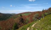 Trail Walking La Bresse - 31-05-20 Rainkopf  - Photo 4