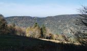 Randonnée Marche Auxelles-Haut - boucle auxelles-haut, super planche et étang des belles filles  - Photo 10