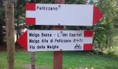 Tocht Te voet Pellizzano - Sentiero degli Gnomi - Photo 3