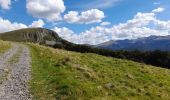 Tour Wandern Murat-le-Quaire - Puy Gros - Banne d Orrdanche - Murât le Quaire - Photo 4