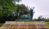 Tour Wandern Rambouillet - Le tour du Grand paris via le GR1étape 19 - Rambouillet - Montfort l'Amaury - Photo 18