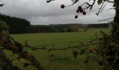 Randonnée Marche Manhay - La longue chavée - Photo 15