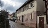 Trail On foot Forst Kleinschwarzenlohe - Historischer Lehrpfad - Photo 2