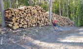 Tour Wandern Chaumont-Gistoux - 2020-05-28 Rando IR204 Dion le Val 22 km - Photo 13