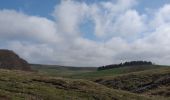 Randonnée Marche Nasbinals - Nasbinal St Chély d'Aubrac - Photo 12