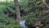 Trail Walking Gresse-en-Vercors - Col de l'Allimas - Photo 5