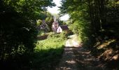 Trail Walking Athée-sur-Cher - Athée-sur-Cher - Port Chandon - 18km 140m 4h05 - 2022 07 24 - Photo 6