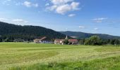 Trail Walking Granges-Aumontzey - Autour de Liezey - Photo 13