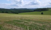 Trail Walking Vresse-sur-Semois - Allesur Semois 020625 - Photo 11