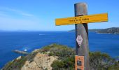 Tour Wandern Unknown - Port Cros - Pte du Cognet - Fortin de la Vigie - Ptes de Port Man et de la Galère - Fort de l'Estissac - Photo 4