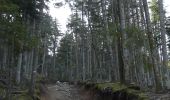 Trail Walking Chabreloche - Tracé actuel: 18 AVR 2019 08:39 - Photo 12