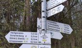 Excursión A pie Unknown - Schartenberg-Rundweg - Photo 10