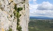 Trail Walking Saint-Mathieu-de-Tréviers - Pic St Loup  - Photo 9