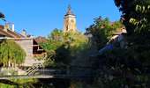 Trail Walking Arbois - Arbois Pupillin Arbois - Photo 16