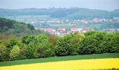 Tour Zu Fuß Mettlach - Gustav-Regler-Weg - Photo 6