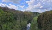 Tour Wandern Chimay - rando ornitho lompret 17-04-2024 - Photo 6