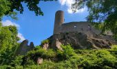 Tour Wandern Andlau - Les châteaux d'Andlau et le vignoble de Mittelbergheim. - Photo 12