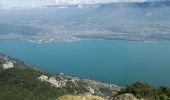 Tour Wandern La Chapelle-du-Mont-du-Chat - DENT DU CHAT & MOLARD NOIR - Photo 5