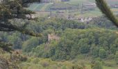Trail Walking Oberlarg - Oberlarg - sa grotte - la ferme des Ebourbettes - le château de Morimont - Photo 15