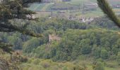 Percorso Marcia Oberlarg - Oberlarg - sa grotte - la ferme des Ebourbettes - le château de Morimont - Photo 15
