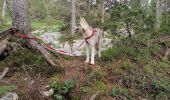 Trail Walking Fillière - chalet de l'angletaz pour Umi - Photo 1