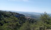 Trail Walking Bédoin - Bedoin  - Photo 7
