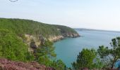 Percorso A piedi Crozon - Morgat Ile Vièrge - Photo 1