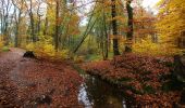 Randonnée A pied Tangstedt - Rund um Gut Wulksfelde entlang der Oberalster - Photo 7