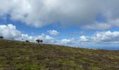 Tour Wandern Chalmazel-Jeansagnière - Col de la Loge - Col du Béal - Photo 2