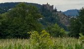 Tocht Wegfiets Aiguilhe - Voie verte au Puy en Velay - Photo 2