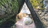 Tocht Stappen Fontainebleau - Fontainebleau sentier Denecourt Colinet 4 - Photo 14