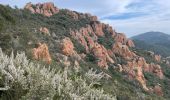 Trail Walking Saint-Raphaël - Trayas- Monges - Maure Viel - Mont St Martin  - Photo 3