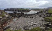 Randonnée Marche West Cork - Dursey Sound - Allihies beach - Photo 9