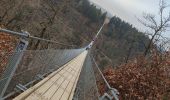 Trail Walking Mörsdorf - geierlay.... pont suspendu - Photo 7