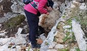 Excursión Senderismo La Valette-du-Var - Le Ragas - Photo 10