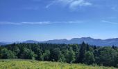 Trail Walking Corrençon-en-Vercors - Corrençon/ plateau château julien/valchevriere/bois Barbu  - Photo 1