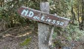 Trail Walking Aups - Aups - ND de Liesse - Photo 3