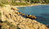 Trail Walking Ramatuelle - Cap Lardier  - Photo 1