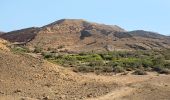 Trail On foot Ramat Negev Regional Council - IL-17280 - Photo 4