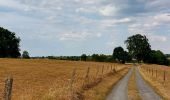 Tocht Stappen Thimister-Clermont - Langs de Berwinne richting Val Dieu - Toeristische ballad - Photo 18