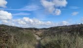 Trail Walking Cayeux-sur-Mer - lac de caouaisse . brighton . pointe de hourdel . lac de caouzisse   - Photo 13