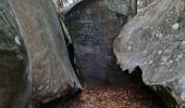 Excursión Senderismo Fontainebleau - Fontainebleau - Sentier des carriers - Photo 4