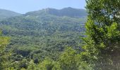 Tour Wandern Esquièze-Sère - luz Saint saveur - Photo 10