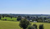 Tour Wandern Dalhem - 20240805 - AUBIN-NEUFCHATEAU 7 Km - Photo 3