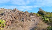 Tour Wandern Port-Vendres - les batteries . collioure . fort sant elme . port vendres . cap gros - Photo 1