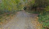 Excursión A pie Reigate and Banstead - Mills & Pillboxes walk (SCC) - Photo 9