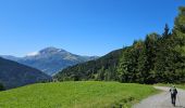 Tour Wandern Saint-Gervais-les-Bains - J15 - R14 - Bellevue - Col de Voza - Bionnassay - Le Planet - L'Are - Photo 18