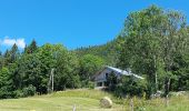 Randonnée Marche Chapelle-des-Bois - Le tour du lac des mortes. - Photo 9