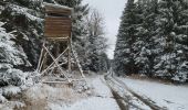 Tour Wandern Tenneville - Mochamps 221124 - Photo 13