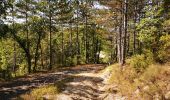 Trail Walking Mirabel-et-Blacons - Chapelle Saint-Christophe - Charsac - Photo 4